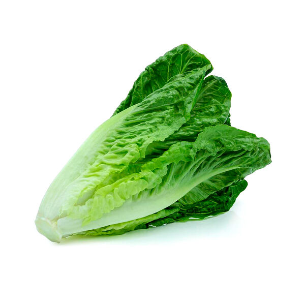 Салат Ромен Республика Беларусь вес