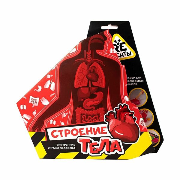 Re-агенты: Строение тела (1401745)