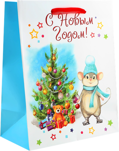 

Пакет подарочный 1 шт, в ассортименте