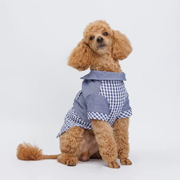 Petmax Рубашка синяя в клетку XL