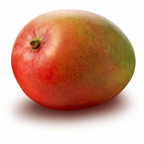 Манго Кастури