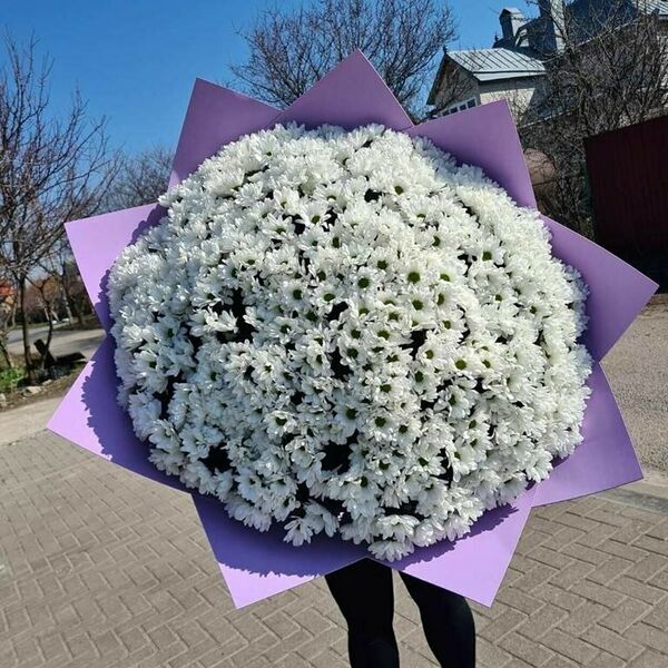 Букет 51 хризантема