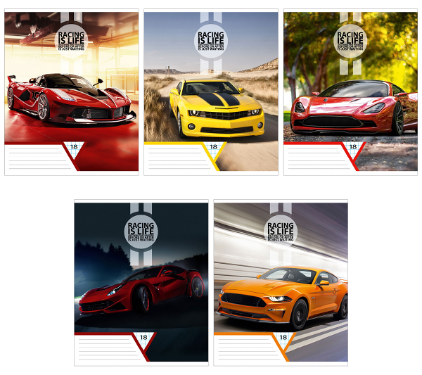 Тетрадь Academy Style в клетку А5, 18 л в ассортименте 1шт