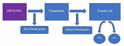 beeakademi.net sitesinden görsel