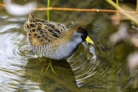 ru.pinterest.com sitesinden görsel