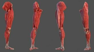 free3d.com sitesinden görsel