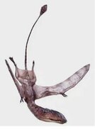 pinterest.com sitesinden görsel