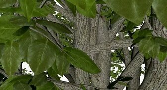 free3d.com sitesinden görsel