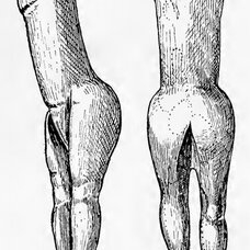 Vénus impudique