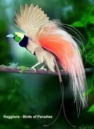 tr.pinterest.com sitesinden görsel