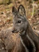 tr.pinterest.com sitesinden görsel