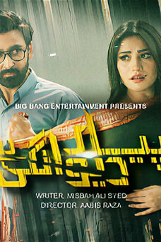 Pyar Deewangi Hai (TV series)