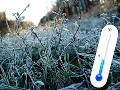 Изображение с сайта kobgn.volgograd.ru