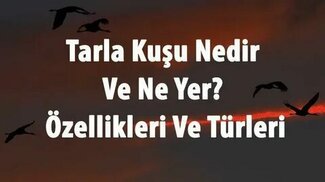 hurriyet.com.tr sitesinden görsel