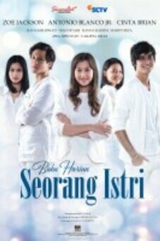 Buku Harian Seorang Istri
