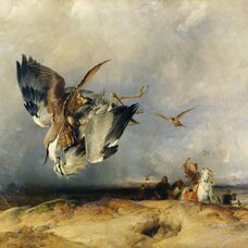 Hawking in the Olden Time