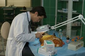 Изображение с сайта fs.kinomania.ru