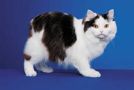 nz.pinterest.com sitesinden görsel