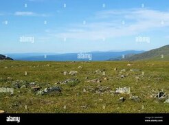 alamy.com sitesinden görsel