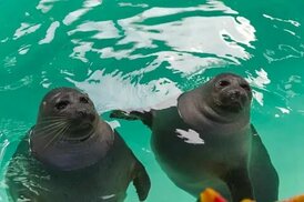 istockphoto.com sitesinden görsel
