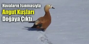 lha.com.tr sitesinden görsel