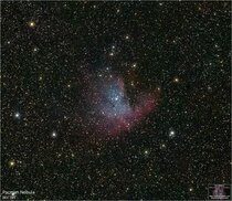 flickr.com sitesinden görsel