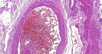 biyosistem.com.tr sitesinden görsel