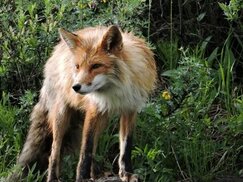 wallhere.com sitesinden görsel