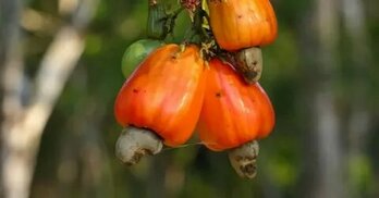 sabah.com.tr sitesinden görsel