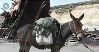 kizlarsoruyor.com sitesinden görsel