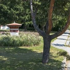 Druk Yul Parkı
