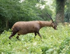 tr.pinterest.com sitesinden görsel