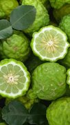 Изображение с сайта ru.pinterest.com