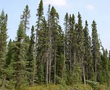 ontario.ca sitesinden görsel