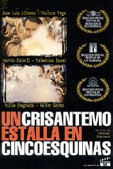 Un crisantemo estalla en cinco esquinas