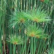 ru.pinterest.com sitesinden görsel