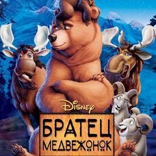 Братец медвежонок