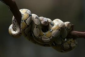 freepik.com sitesinden görsel