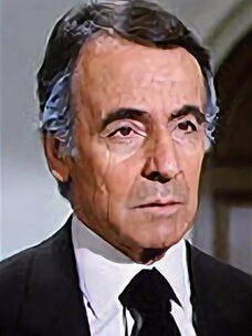 Lee Bergere