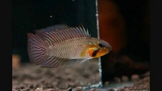 pinterest.com sitesinden görsel