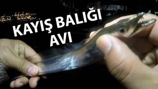 youtube.com sitesinden görsel