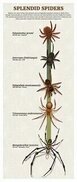 tr.pinterest.com sitesinden görsel