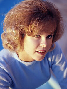 Sue Williams