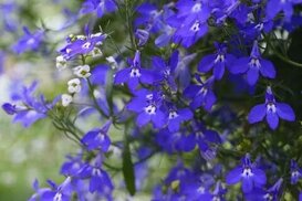 ru.pinterest.com sitesinden görsel