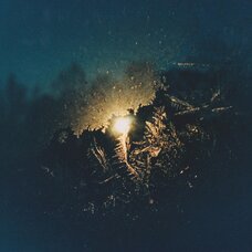 Are We Running Out of Love?