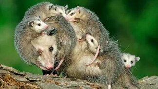 de.pinterest.com sitesinden görsel