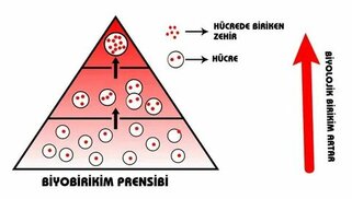 dnzhoca.com sitesinden görsel