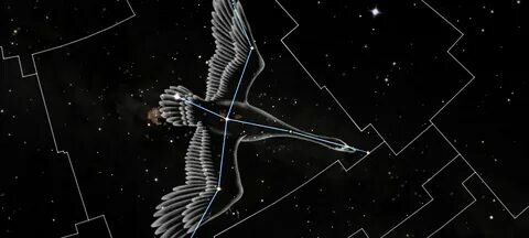 stellardiscovery.com sitesinden görsel