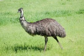 in.pinterest.com sitesinden görsel