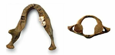 en.wikipedia.org sitesinden görsel